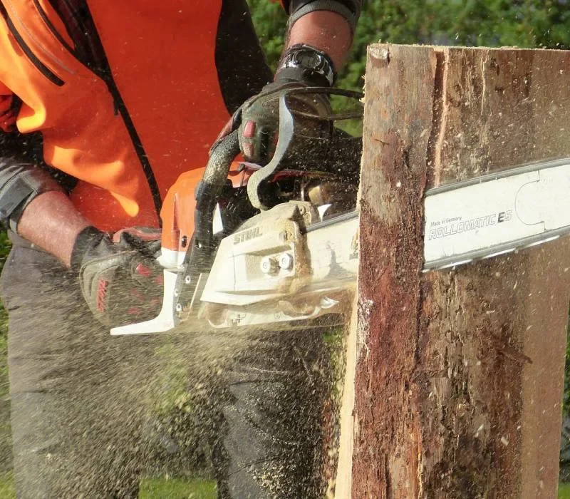 Champs of Logging i praktisk utbildning