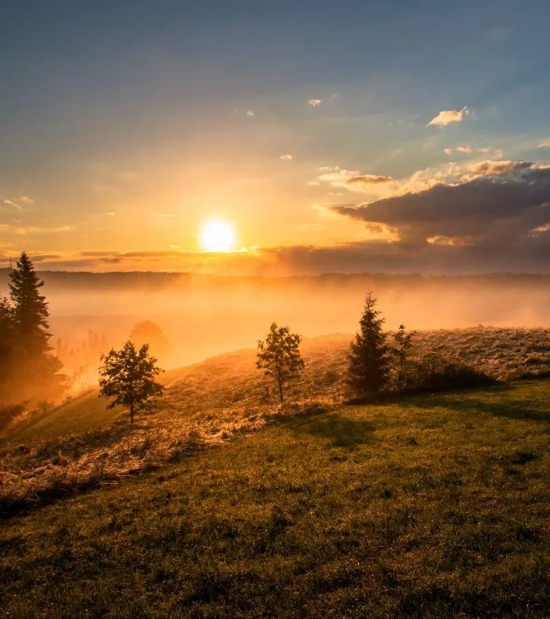 Motorsågsutbildning i skogen