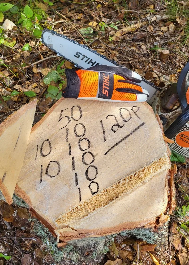 Tävlingsmoment i motorsågsutbildning